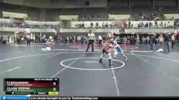 75 lbs Round 3 - Tj Richardson, Summit Wrestling Academy vs Cillian Vroman, First There Training Facility