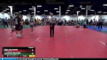 88 lbs Round 4 (8 Team) - Trey Salvaggio, D3PRIMUS vs Cameron Melhorn, Mayfield Mat Academy