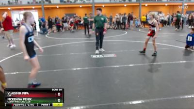 95 lbs 1st Place Match - Vladimir Pipa, C2X vs McKenna Penix, Cobra Wrestling Club