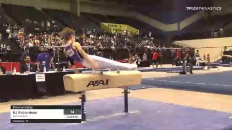 KJ Richardson - Pommel Horse, Gymkhana IL - 2021 USA Gymnastics Development Program National Championships