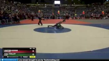 6A - 113 lbs 5th Place Match - Jantzen Borge, Manhattan vs Cole Molloy, Derby