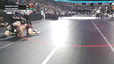 138 lbs Consi Of 16 #2 - Theodore Young, Whitney (SJ) vs Micah Wegman, Calabasas (SS)