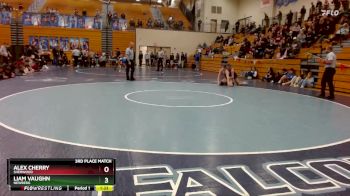 138 lbs 3rd Place Match - Alex Cherry, Sherwood vs Liam Vaughn, Newberg