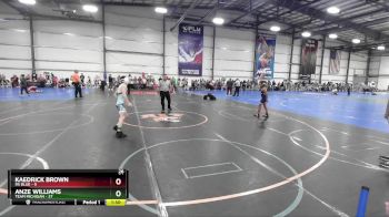 84 lbs Rd# 4- 2:00pm Friday Final Pool - Anze Williams, Team Michigan vs Kaedrick Brown, PA Blue