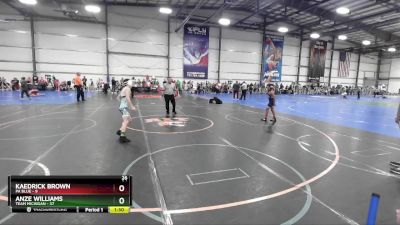 84 lbs Rd# 4- 2:00pm Friday Final Pool - Anze Williams, Team Michigan vs Kaedrick Brown, PA Blue