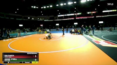 113 lbs Quarterfinal - Ian Garza, Moses Lake vs Derek O`Dell, Richland