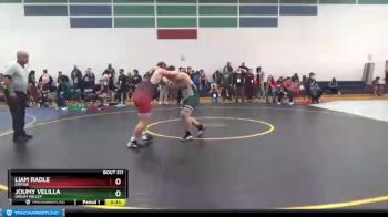 195 lbs Cons. Round 3 - Joumy Velilla, Green Valley vs Liam Radle, Empire