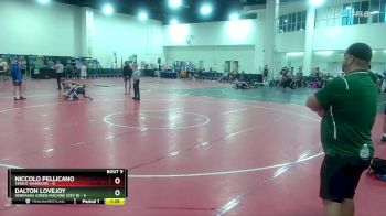 113 lbs Round 3 (6 Team) - Niccolo Pellicano, Venice Warriors vs Dalton Lovejoy, Nebraska Green Machine (Dev B)