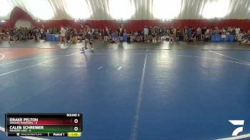 106 lbs Round 2 (4 Team) - Drake Pelton, Waukee Warriors vs Caleb Schreiber, Random Lake