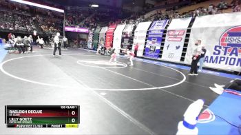 120 Class 1 lbs Champ. Round 1 - Lilly Goetz, Excelsior Springs vs Raeleigh Declue, St. Clair