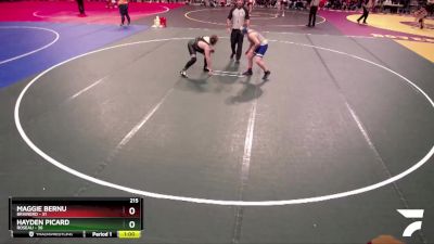 215 lbs Semis (4 Team) - David Borgen, Brainerd vs Brevyn Agre, Roseau