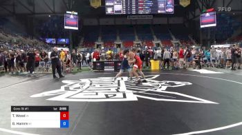 138 lbs Cons 16 #1 - Tony Wood, Indiana vs Gunnar Hamre, Wisconsin