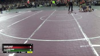 D4-175 lbs Champ. Round 1 - CJ Copeland, Lakeview HS vs Gavin Hart, Schoolcraft HS