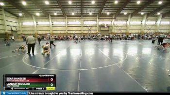 80 lbs Quarterfinal - Landon Nicolosi, Team Prestige vs Bear Hanssen, Wasatch Wrestling Club