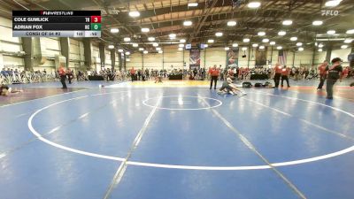 132 lbs Consi Of 64 #2 - Cole Gumlick, TN vs Adrian Fox, NC