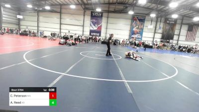138 lbs Round Of 32 - Connor Peterson, MN vs Alex Reed, AR