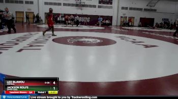 157 lbs Champ. Round 2 - Leo Blawou, Central vs Jackson Rolfs, Upper Iowa