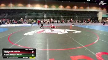 165 lbs Cons. Round 4 - Cache Montgomery, La Pine High School vs Zechariah Halsey, Lebanon