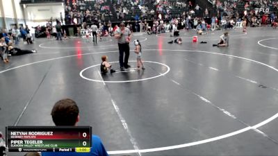 32-41 lbs Round 5 - Netyah Rodriguez, Kearney Matcats vs Piper Tegeler, Elkhorn Valley Wrestling Club