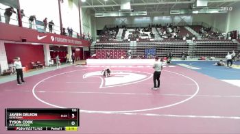 133 lbs Cons. Semi - Tyson Cook, Pitt-Johnstown vs Javien DeLeon, Kutztown