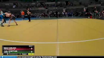 102 lbs Semis (4 Team) - Cael Schettler, Adrian vs Beau Carlson, Staples-Motley