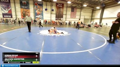 100 lbs Rd# 8- 12:30pm Saturday Final Pool - GrAyson Hostetter, PA Gold vs Adrian Rojas, Team Michigan