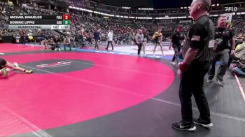 138-4A Quarterfinal - Dominic Lippis, Canon City vs Michael Banuelos, Pueblo East