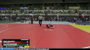 65 lbs Quarterfinal - Easton Hamacher, Pursuit Wresting Minnesota vs Cruz Prasnicki, Dakota Boyz