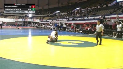 125 lbs Champ Round 1 (16 Team) - Ricky Springs, Newberry College vs Christian Horvath, Muhlenberg