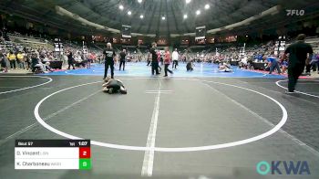 67 lbs Quarterfinal - Devyn Vincent, Lions Wrestling Academy vs Khloe Charboneau, Wagoner Takedown Club