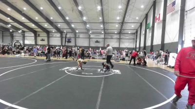 46 lbs Consolation - Thomas Caro V, Team Aggression vs Zahvyn Virdi, Independent