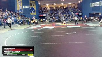 113 lbs Cons. Round 3 - Anthony DiAndrea, Watchung Hills vs Carter Price, Point Pleasant