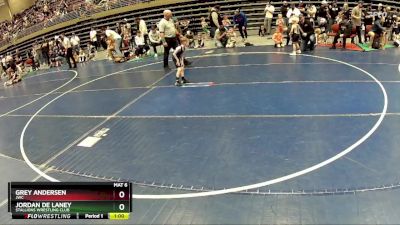 44 lbs Quarterfinal - Grey Andersen, JWC vs Jordan De Laney, Stallions Wrestling Club