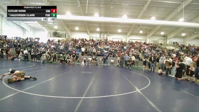 50 lbs 3rd Place Match - Cutler Hone, Iron County Wrestling Academy vs Halvorsen Clark, Payson Lions Wrestling Club