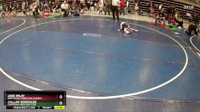 48 lbs Quarterfinal - Jase Imlay, Iron County Wrestling Academy vs Callan Gonzales, Champions Wrestling Club