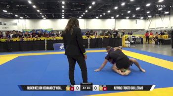 Alvaro Fausto Guillermo vs Ruben Kelvin Hernandez Vidal 2025 World IBJJF Jiu-Jitsu No-Gi Championship