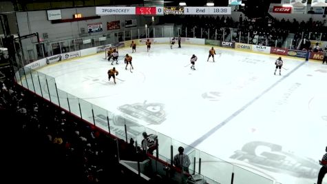 Replay: Home - 2024 Saint-Francois vs Levis | Nov 22 @ 7 PM