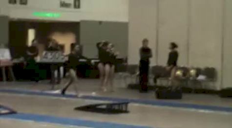 Pittsburgh Northstar (Winona Li)