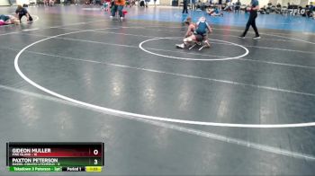 115 lbs Finals (8 Team) - Paxton Peterson, Dassel-Cokato-Litchfield vs Gideon Muller, Pine Island