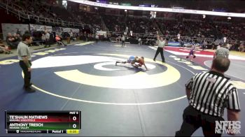 I-145 lbs Cons. Semi - Anthony Tresch, Minisink Valley vs Te`shaun Mathews, Niagara Wheatfield