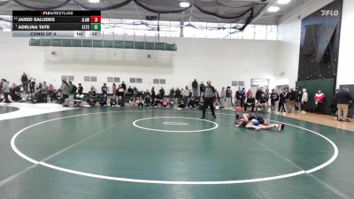 126 lbs Consi Of 4 - Jared Saludes, Jonathan Law vs Adelina Tate, Ellis Tech