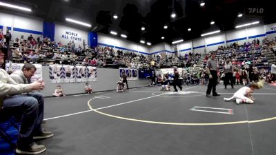 55 lbs Quarterfinal - Emmett Alvarado, Comanche Takedown Club vs Delanie Wartchow, Noble Takedown Club