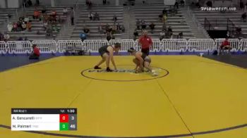 182 lbs Prelims - Anthony Gencarelli, Ohio Titan Red vs Mike Palmeri, Triumph Black