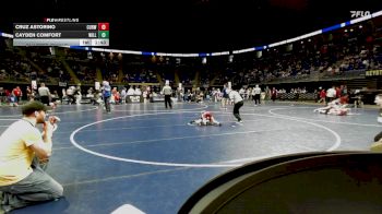 65 lbs Quarterfinal - Cruz Astorino, Curwensville vs Cayden Comfort, Williamsport