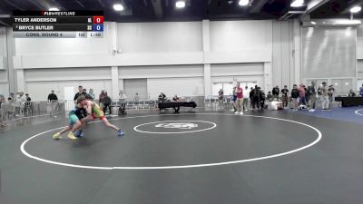 113 lbs Cons. Round 4 - Tyler Anderson, AL vs Bryce Butler, SC