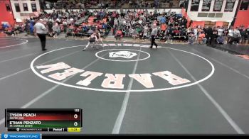 132 lbs Quarterfinal - Tyson Peach, MILTON (WI) vs Ethan Penzato, St. Charles (EAST)