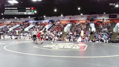 106 lbs Quarterfinals (8 Team) - Dakota Harmer, Lake Odessa Lakewood vs Brysen Briggs, Montrose