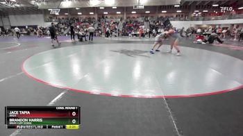 157 lbs Cons. Round 1 - Brandon Harris, Briar Cliff (Iowa) vs Jace Tapia, Avila
