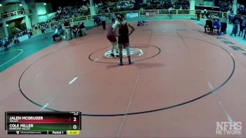 132 lbs Cons. Round 1 - Cole Miller, Pahrump Valley vs Jalen McGruder, Valley