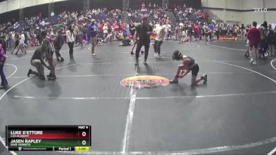 80 lbs Cons. Semi - Luke D`Ettore, C2X Academy vs Jasen Rapley, Dixie Hornets